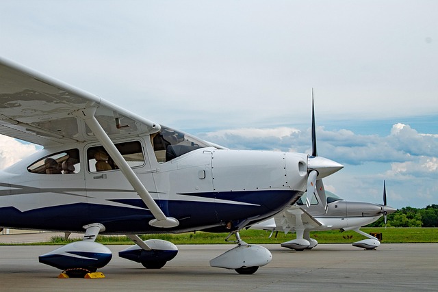 Cessna 206