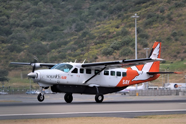 Cessna 208