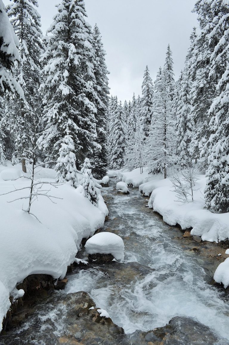 discover the breathtaking beauty and luxury of courchevel, a world-famous ski resort in the french alps offering exceptional winter sports, fine dining, and stunning mountain views.
