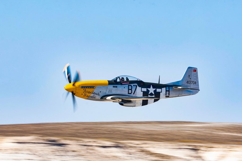 explore the costs, legal requirements, and practical considerations involved in owning a fighter aircraft.